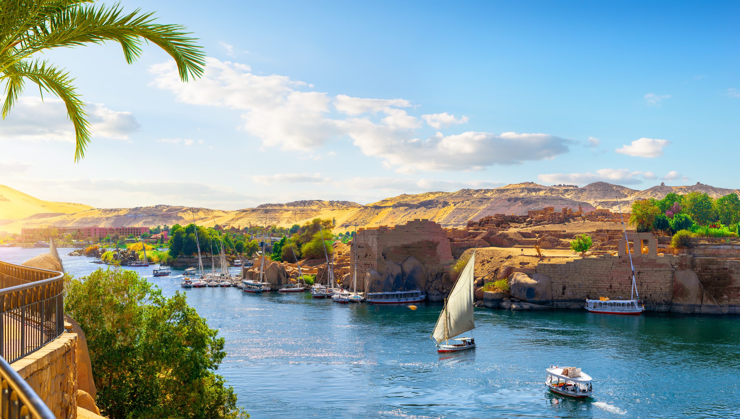 Nile River view