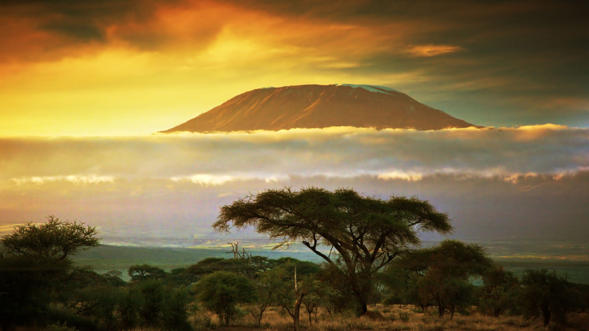 Sunset at Kilimanjaro National Park