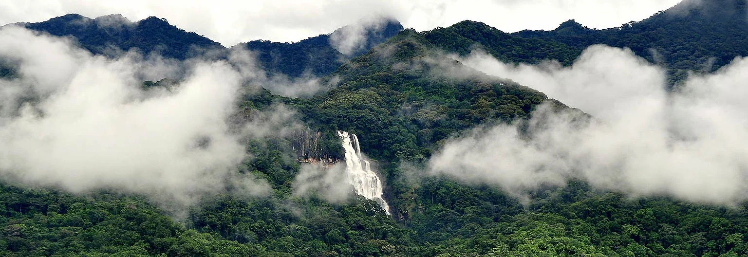 Where is Udzungwa Mountains National Park located?
