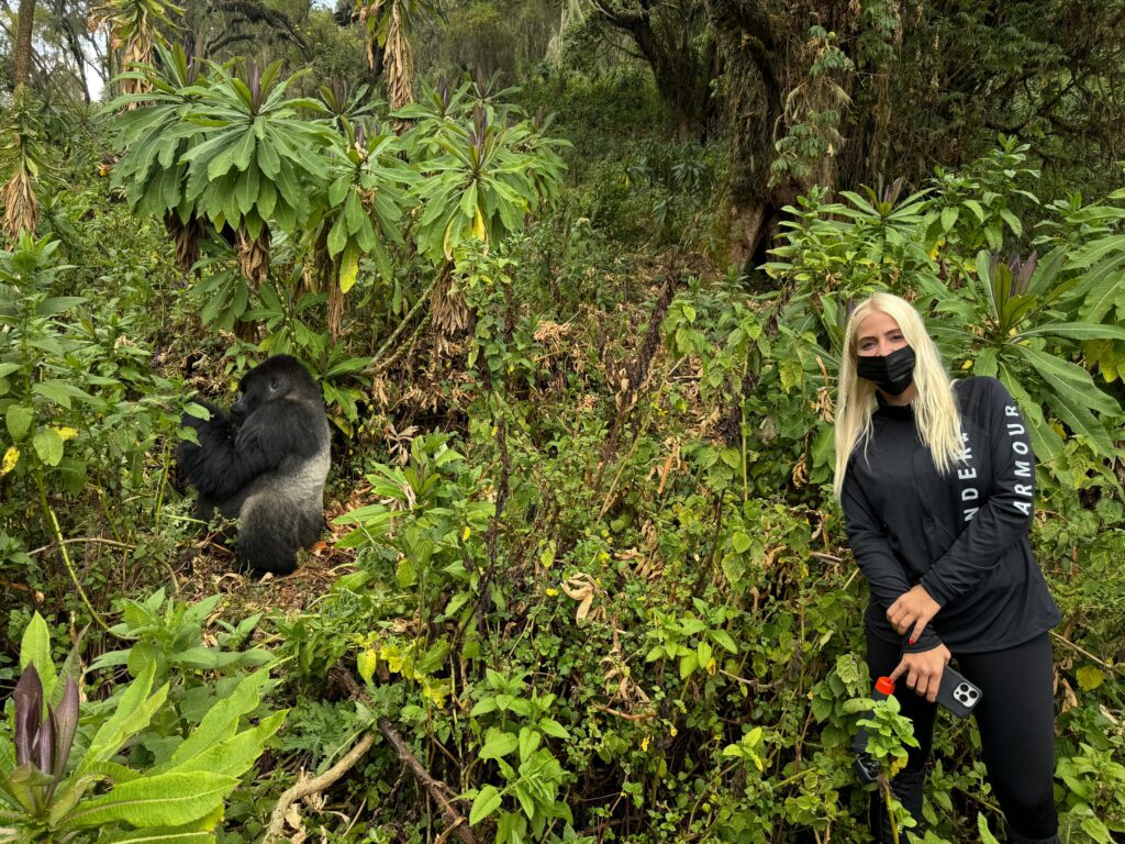 Woman posing with silverback during gorilla trekking