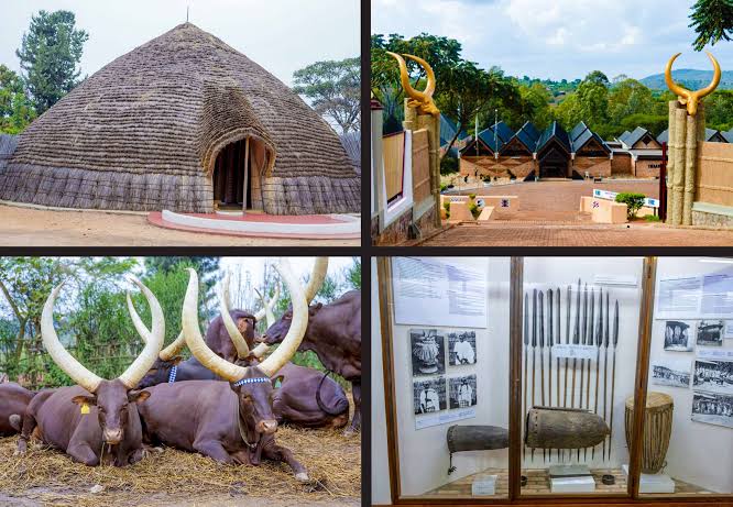 Rwanda Cultural Tours offer visitors an inspiring opportunity to experience the country's rich traditions, vibrant communities, fascinating history, and warm hospitality beyond its famous wildlife. While Rwanda is internationally recognized for mountain gorilla trekking in Volcanoes National Park and the Big Five in Akagera National Park, its cultural heritage is equally rewarding and provides a deeper understanding of the nation's remarkable journey from ancient kingdoms to one of Africa's most progressive countries.
