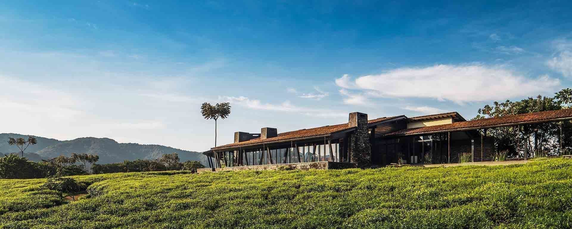 Choosing the right Nyungwe Accommodation allows travelers to experience Rwanda’s ancient rainforest in comfort while enjoying unforgettable wildlife and adventure experiences.

