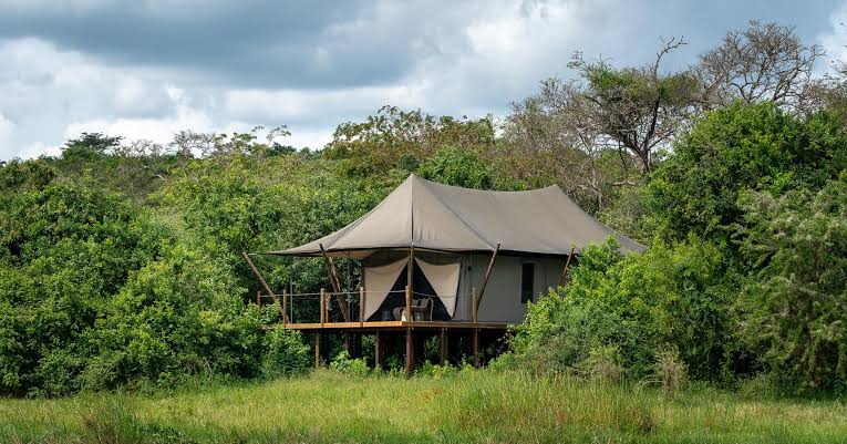Luxury safari tents at Akagera National Park accommodation